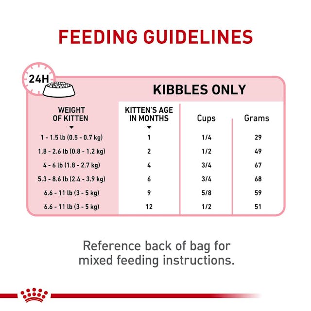 ROYAL CANIN-GATITO 3.2 KG