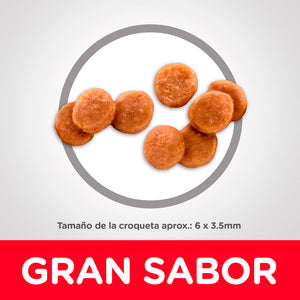 Hill's Science Diet, Alimento para Gatito (Kitten) Receta Original, Seco (bulto)