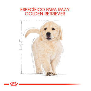 ROYAL CANIN-GOLDEN PUPPY 13 KG