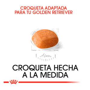 ROYAL CANIN-GOLDEN PUPPY 13 KG