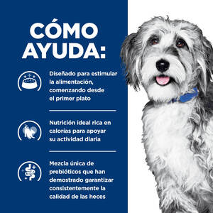 Hill's Prescription Diet ONC Care (Atención Oncológica) Alimento seco para Perros, Pollo, Dieta Veterinaria
