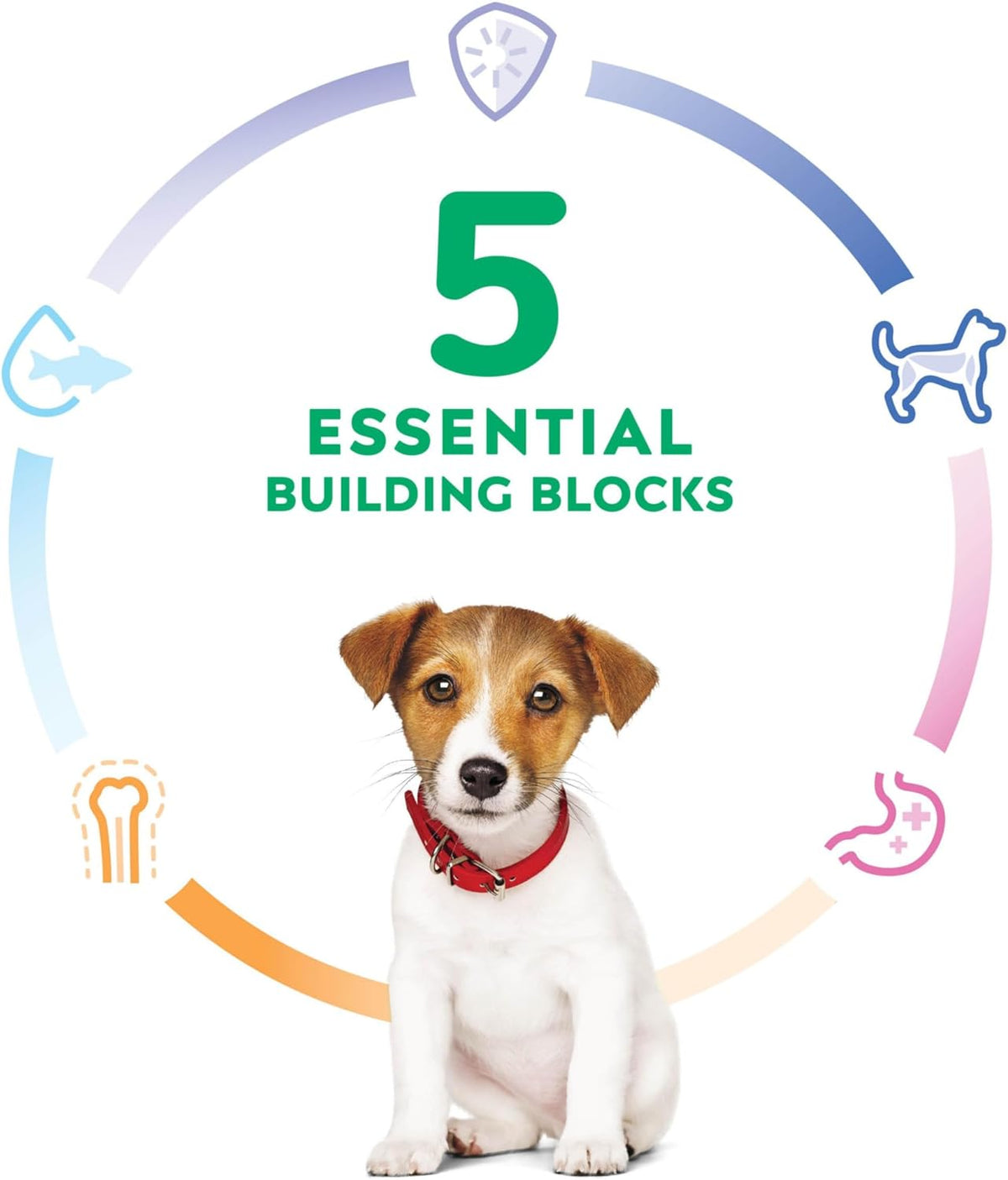 Hill's Science Diet, Alimento para Perro Puppy (Cachorro) Small Bites, Seco