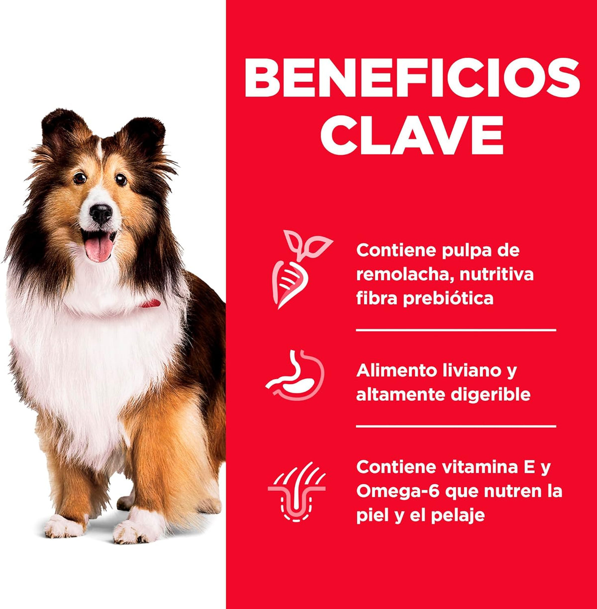 Hill's Science Diet Alimento para Perros con Piel y Estómago Sensibles para Adultos