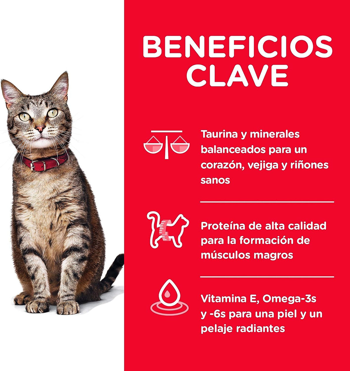Alimento para Gato Adulto, Hill's Science Diet, Receta Original, Seco (bulto)