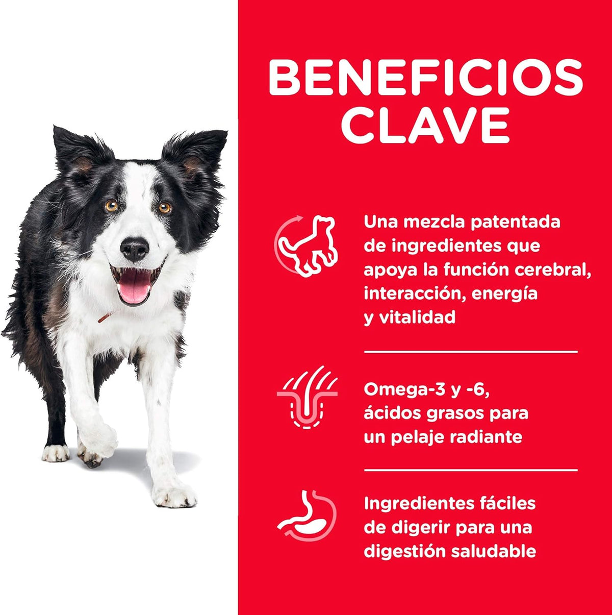 Hill's Science Diet, Alimento para Perro Youthful Vitality 7+ años, Croquetas (bulto) 5.7kg