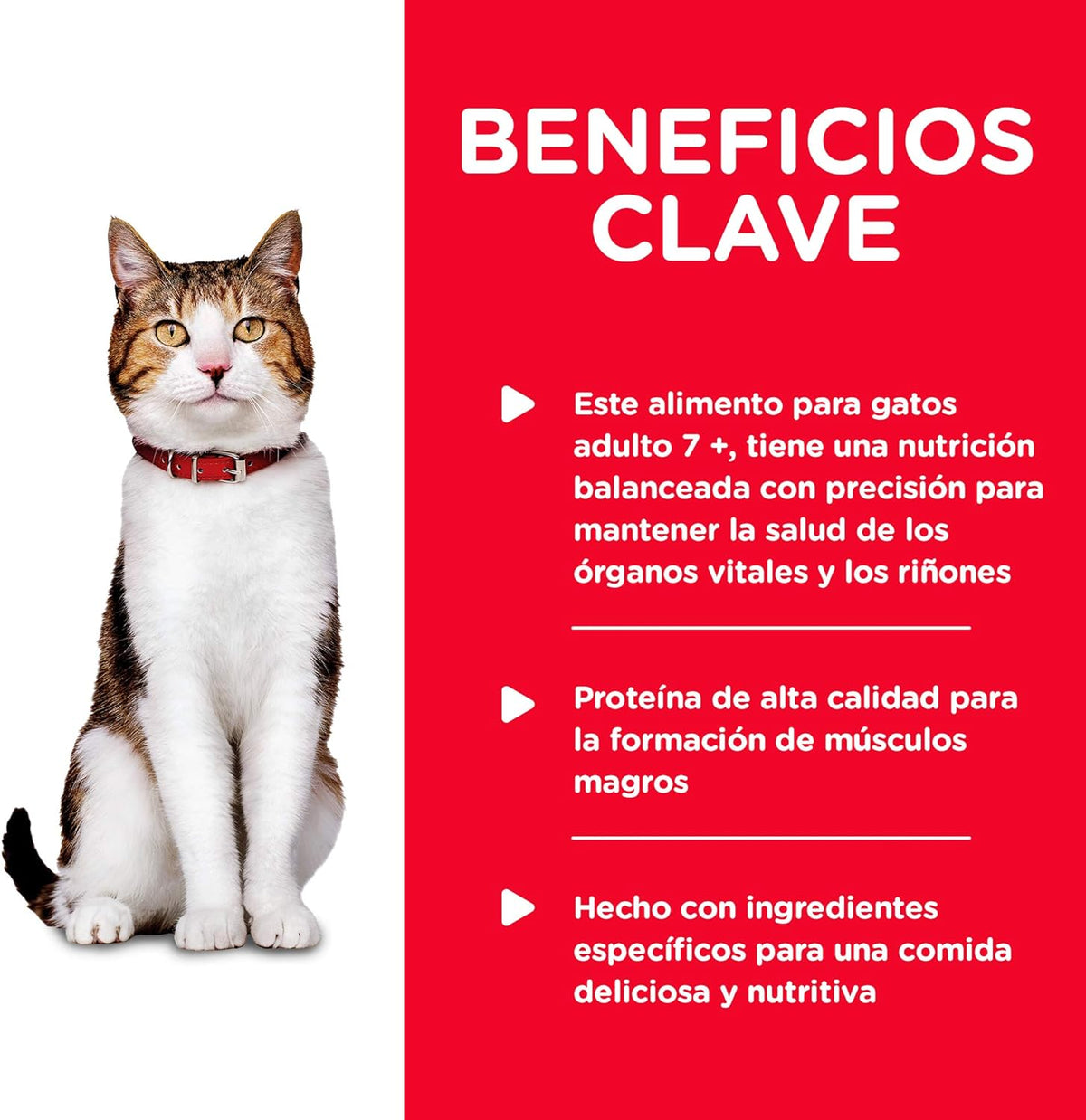 Hill's Science Diet, Alimento para Gato Adulto 7+ Años Receta de Pavo, Húmedo (lata de 156 gramos)
