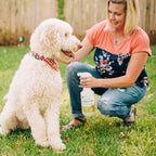 Flea & Tick Spray for Pets + Home