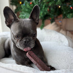 Long Lasting Dental Yak Chews - Cranberry and Blueberry Yak Chews for Dogs