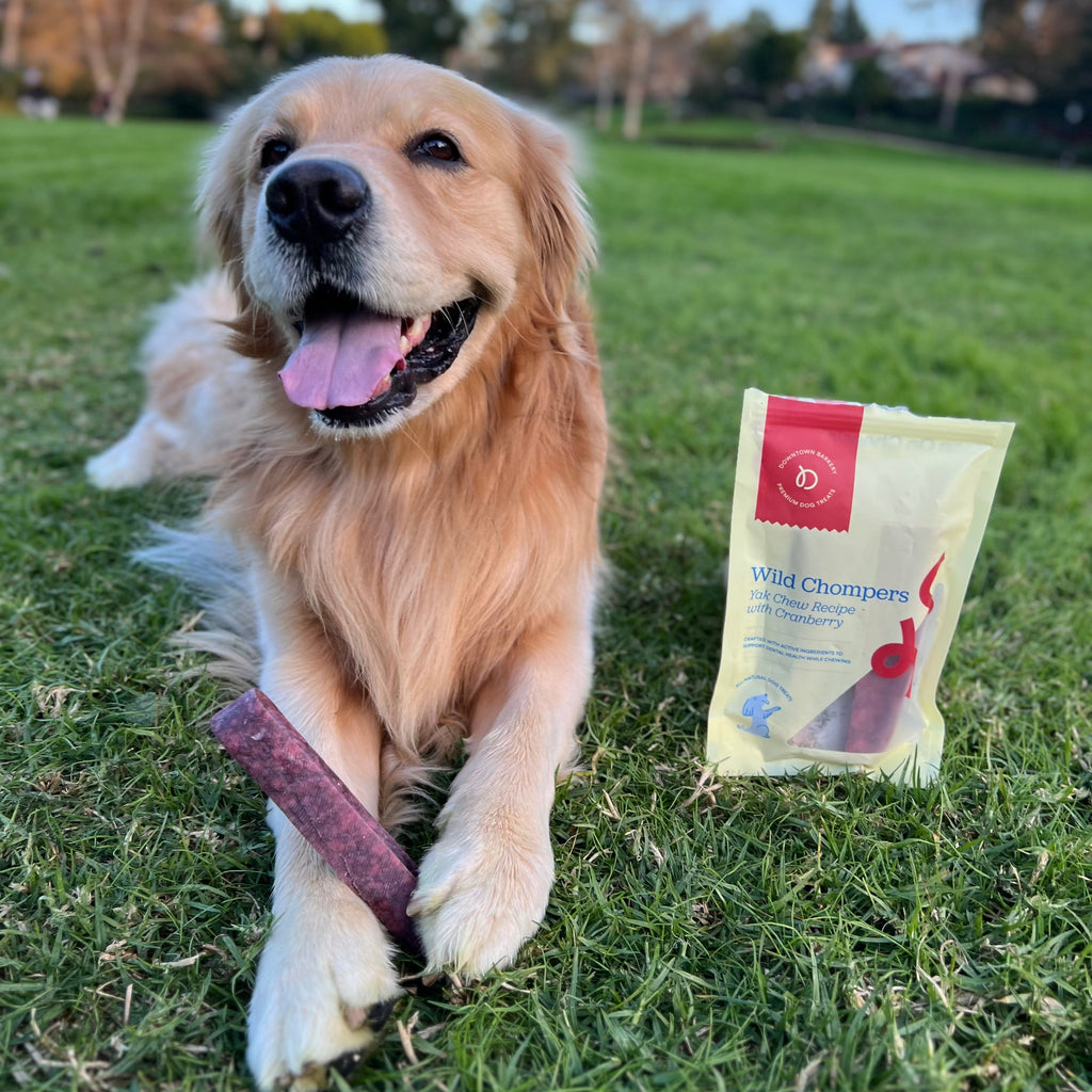 Long Lasting Dental Yak Chews - Cranberry and Blueberry Yak Chews for Dogs