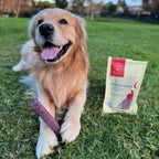 Long Lasting Dental Yak Chews - Cranberry and Blueberry Yak Chews for Dogs