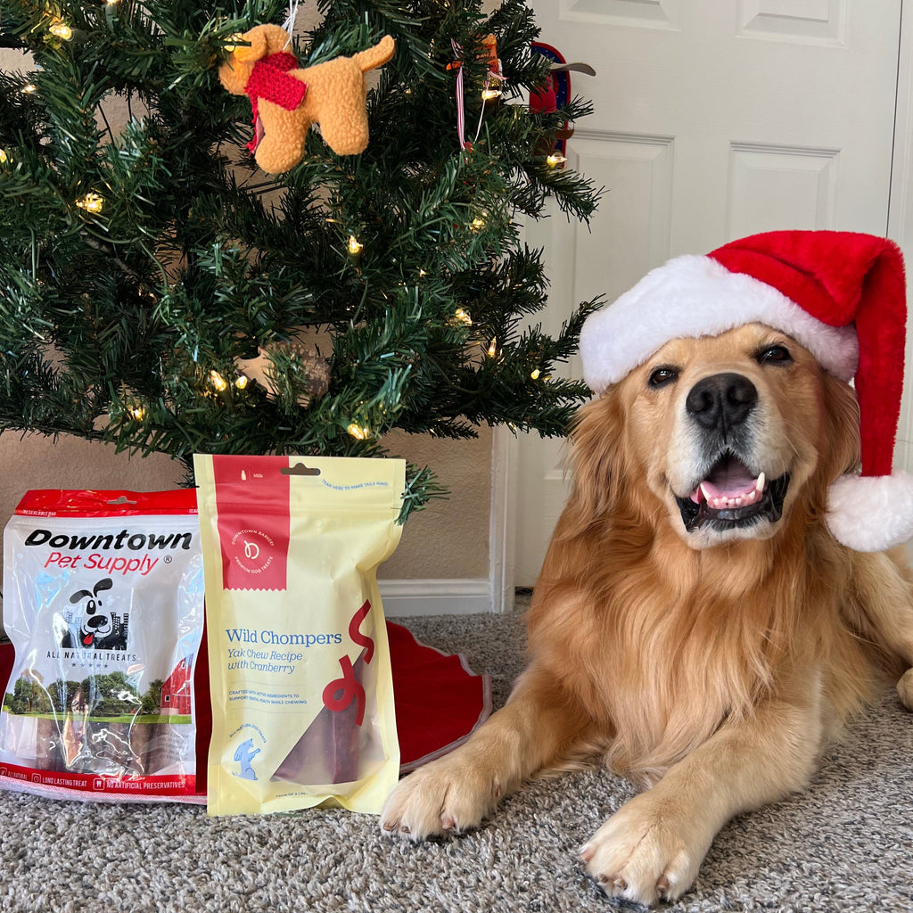 Long Lasting Dental Yak Chews - Cranberry and Blueberry Yak Chews for Dogs