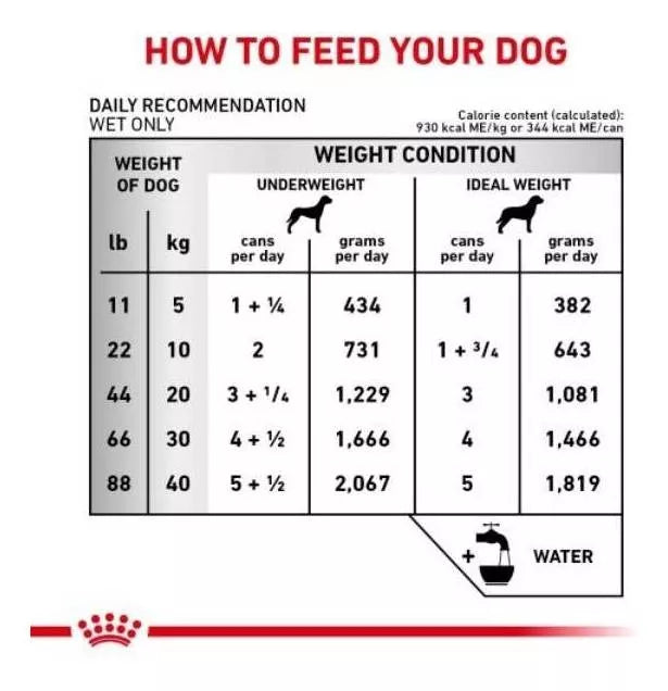 ROYAL CANIN-RENAL SUP D MIG DOG LAT 370GR