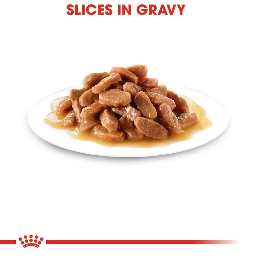 ROYAL CANIN-KITTEN SLICES IN GRAVY 85 G