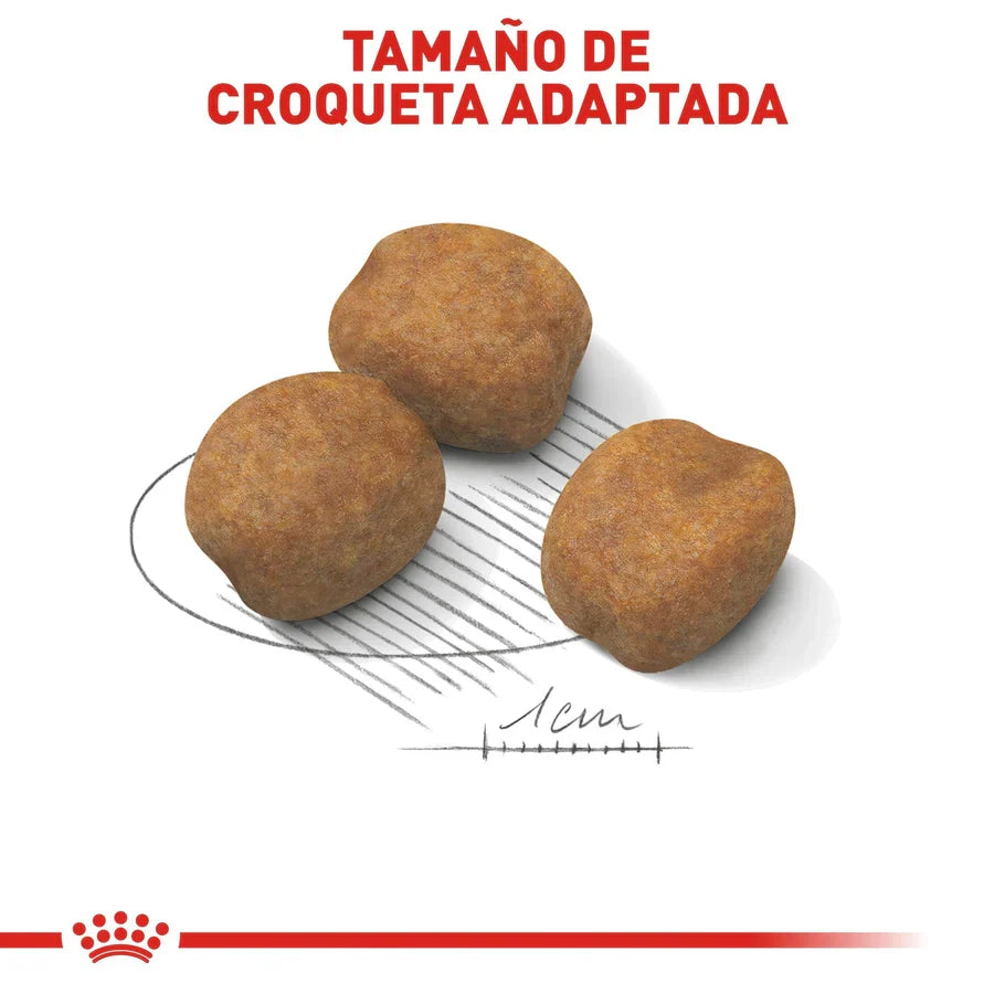 ROYAL CANIN-GIANT BREED PUPPY 13.6 KG