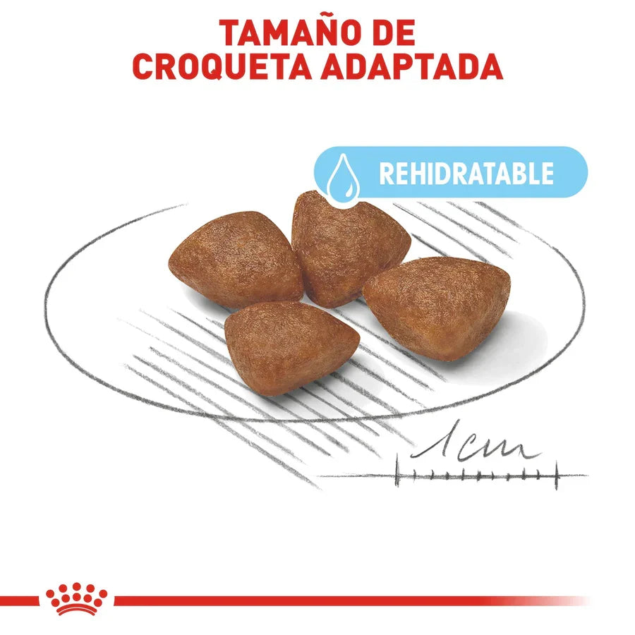 ROYAL CANIN-SMALL STARTER MOTHER&BABY 1.1