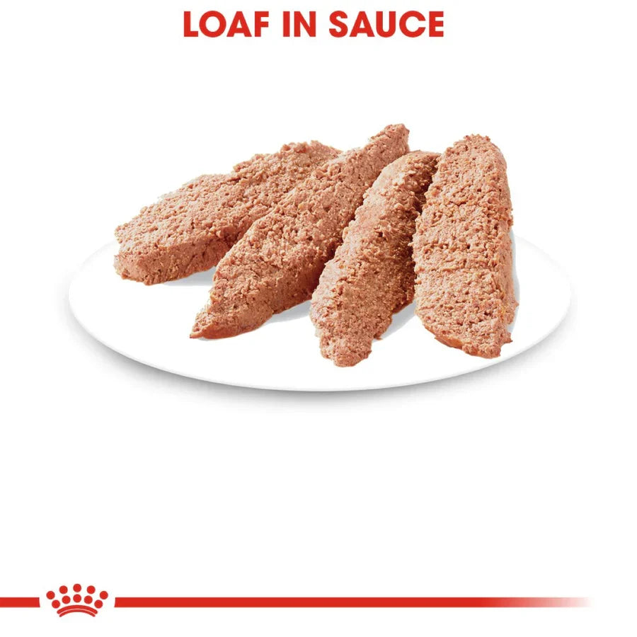ROYAL CANIN-WEIGHT CARE LOAF IN SAUCE 14