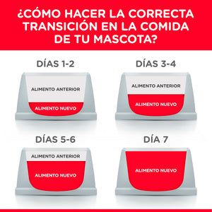 Alimento para Gato Adulto, Hill's Science Diet, Receta Pollo y Arroz Healthy Cuisine, Húmedo (lata de 80 gramos)