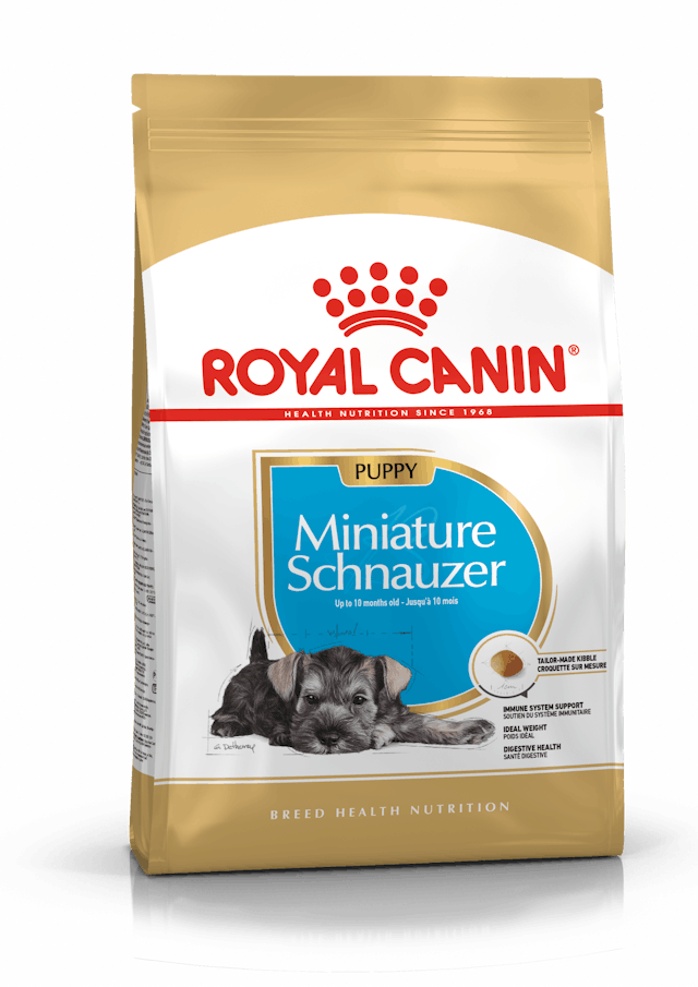ROYAL CANIN-MINI SCHNAUZER PUPPY 1.1
