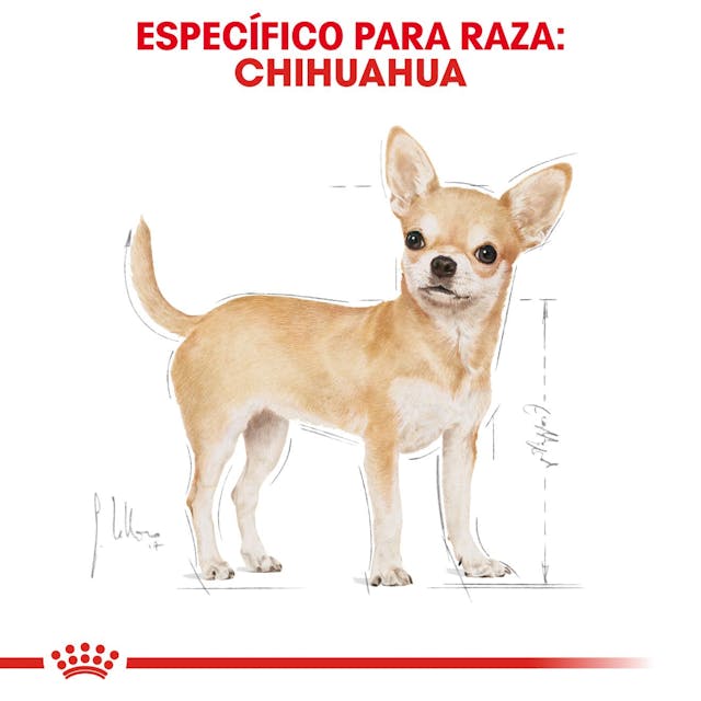 ROYAL CANIN-RAZA ESPECIFICA CHIHUAHUA 4.5 KG
