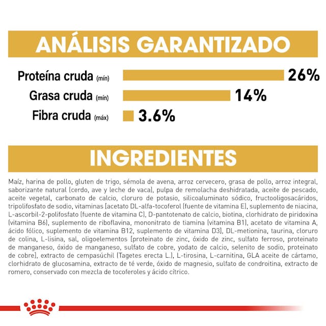 ROYAL CANIN-CHIHUAHUA ADULT 1.1