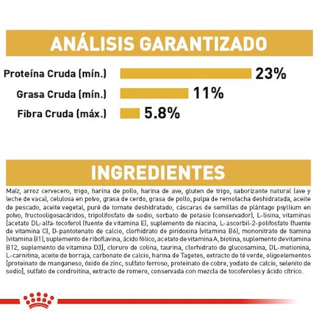 ROYAL CANIN-GOLDEN ADULTO 13 KG