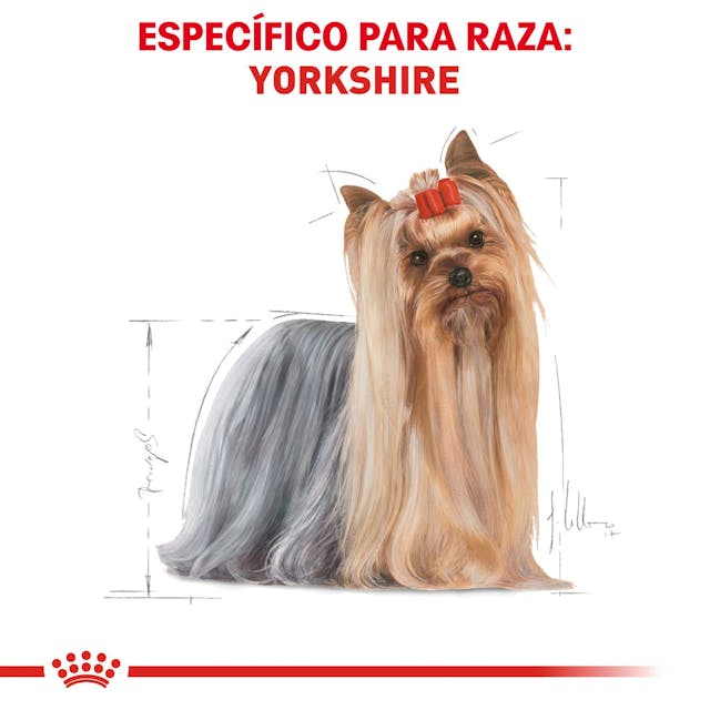 ROYAL CANIN-RAZA ESPECIFICA YORKSHIRE 4.5 KG