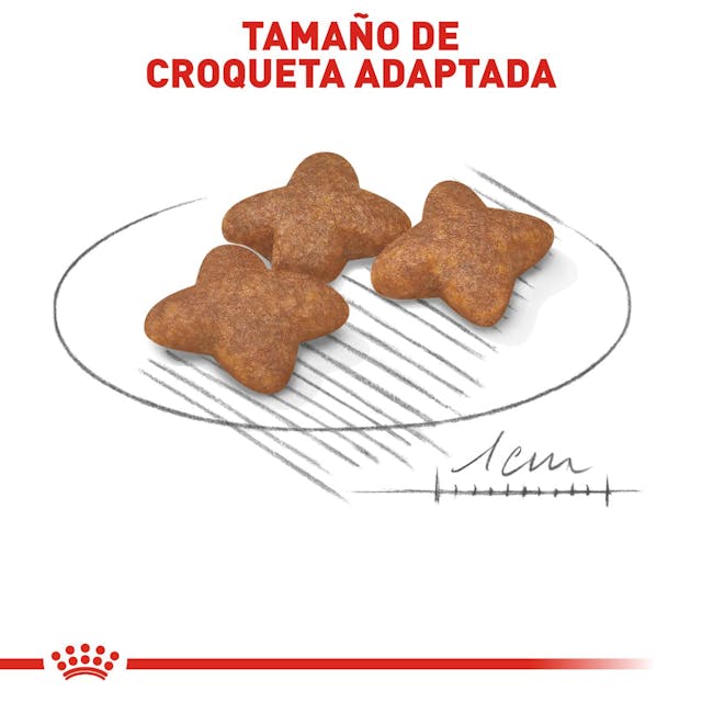 ROYAL CANIN-SMALL BREED ADULT 2.0 KG