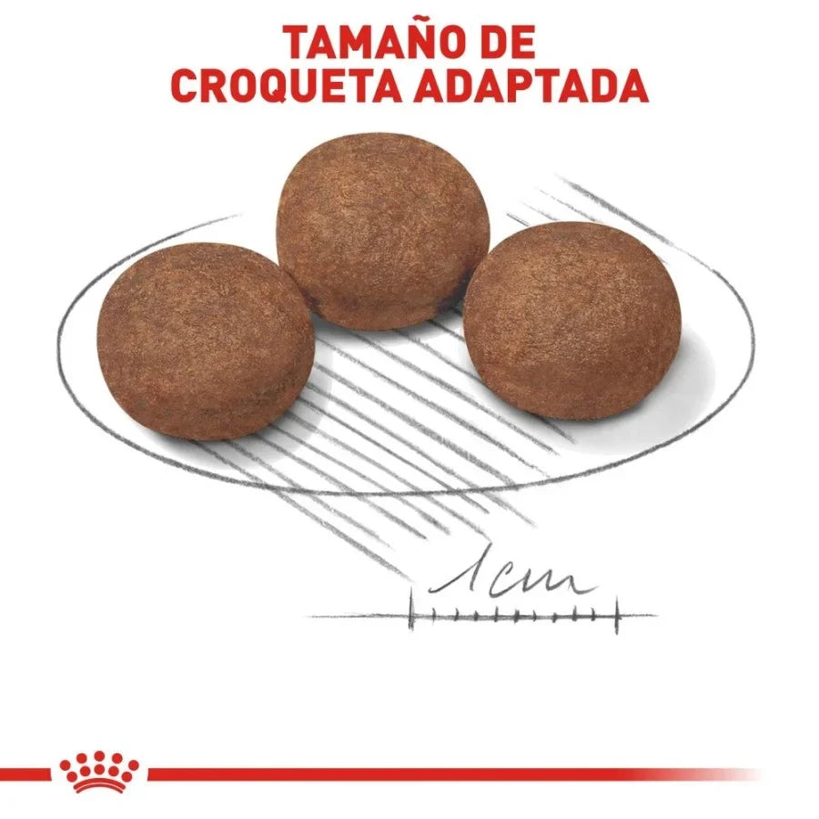 ROYAL CANIN-MEDIUM PUPPY 2.7
