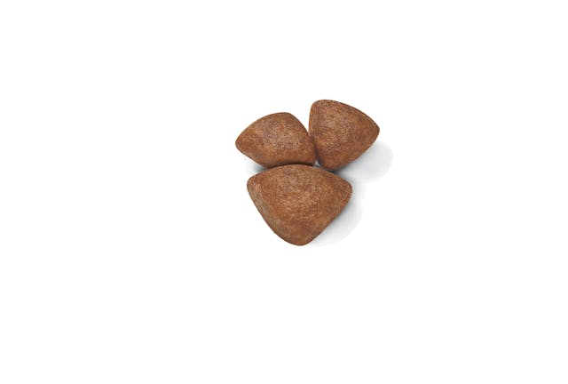 ROYAL CANIN-SMALL STARTER MOTHER&BABY 1.1