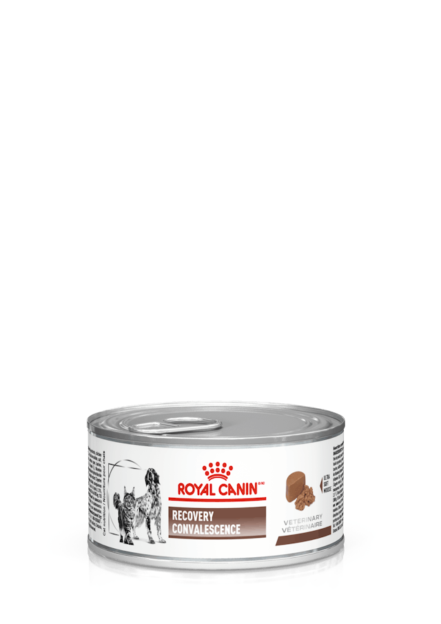 ROYAL CANIN-RECOVERY LATA 150GR